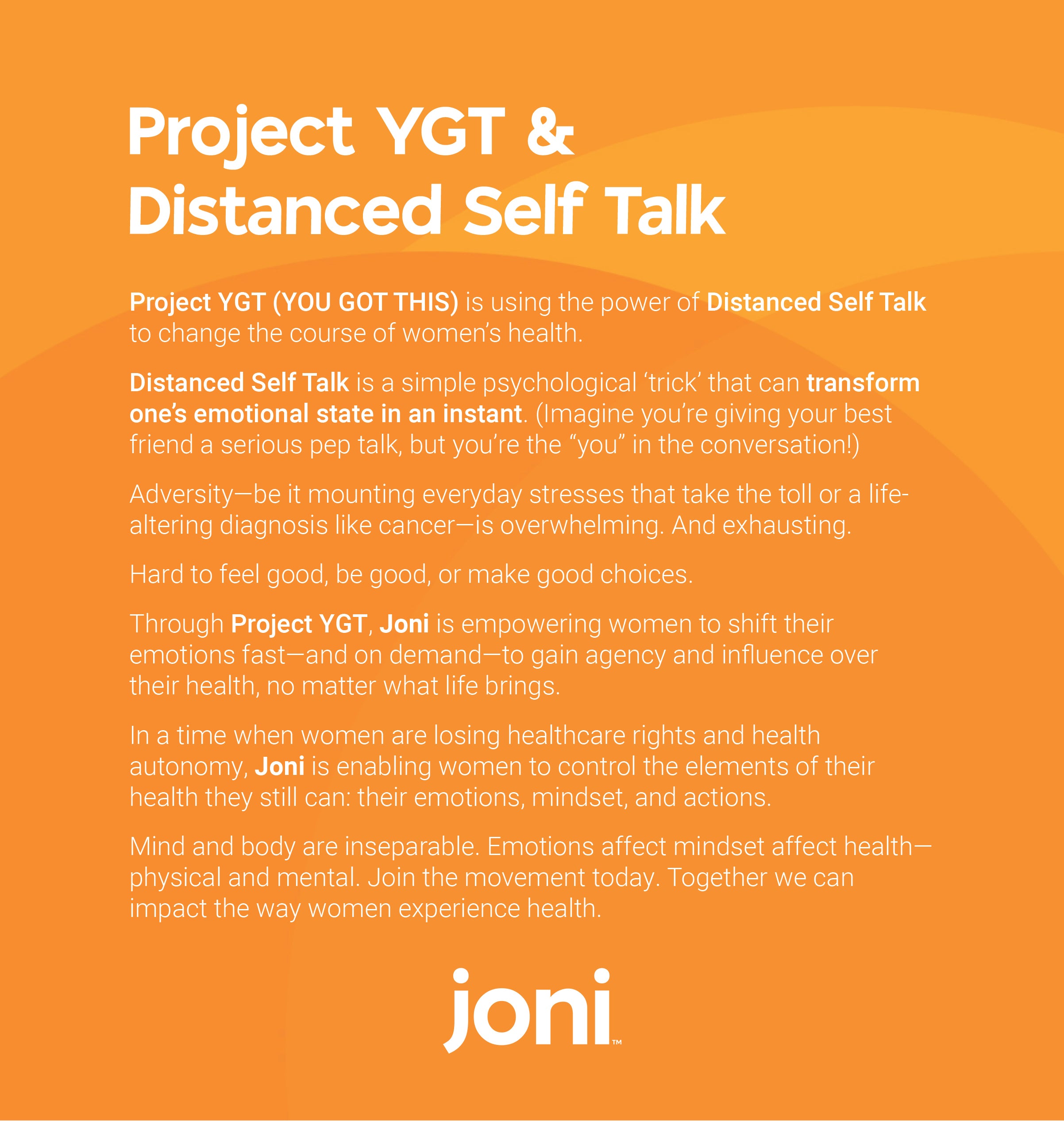 THE ALLY: SUMMER NIGHTS